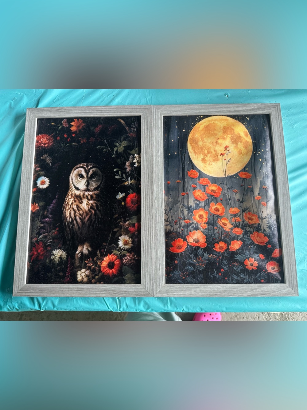 Framed Owl & Moon Floral Art Pair - Orange Flowers